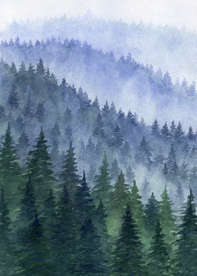 Forest Mountains