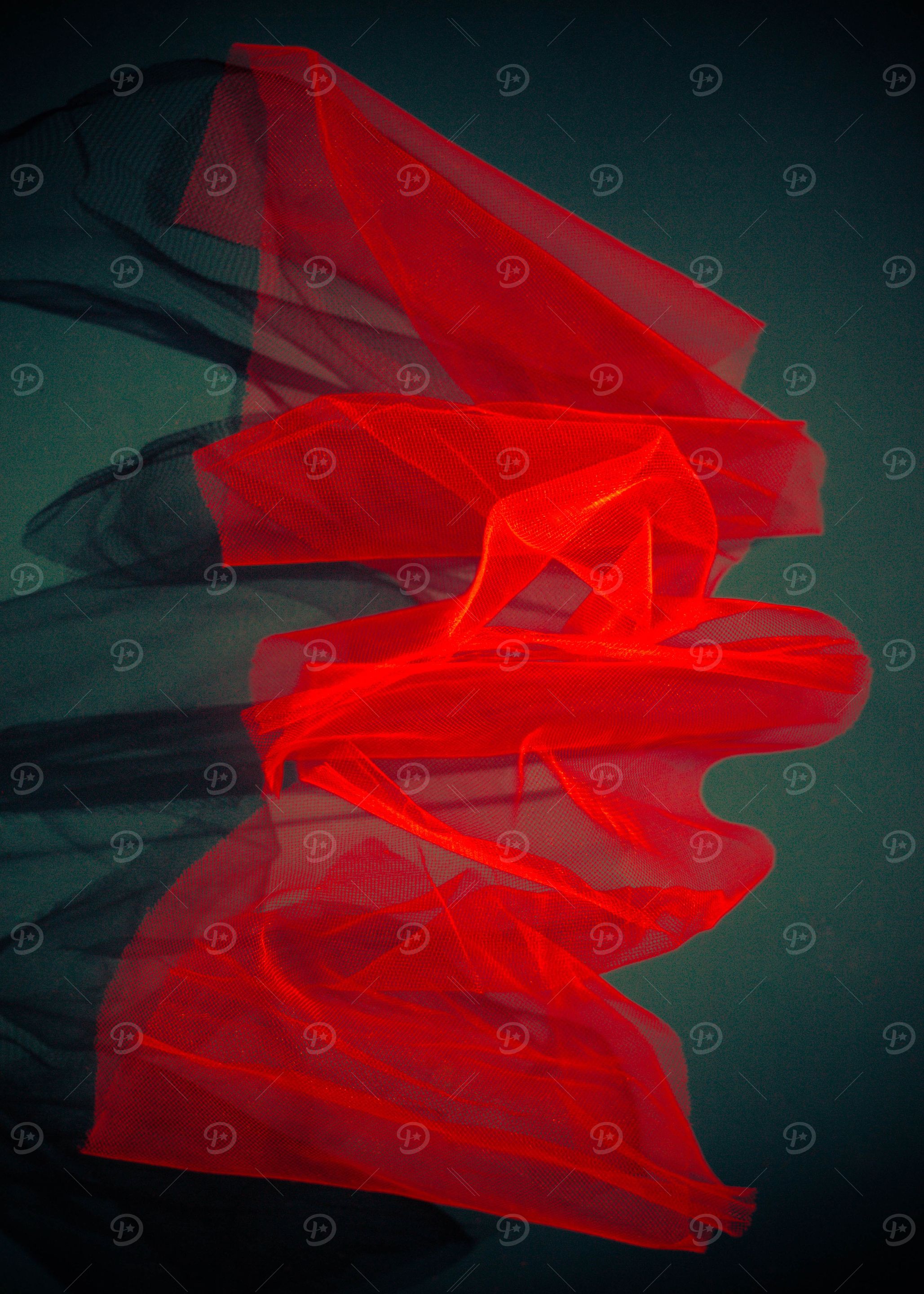 Transparent veil