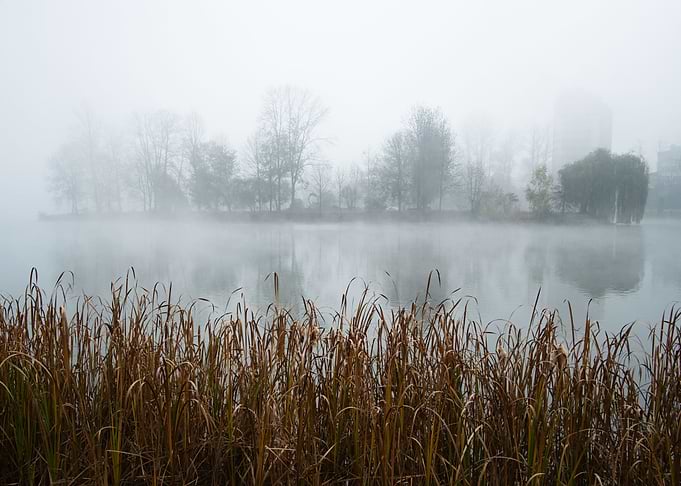 Misty island