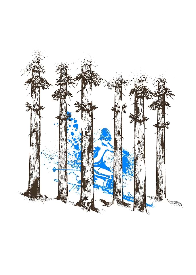 ski skiing poster