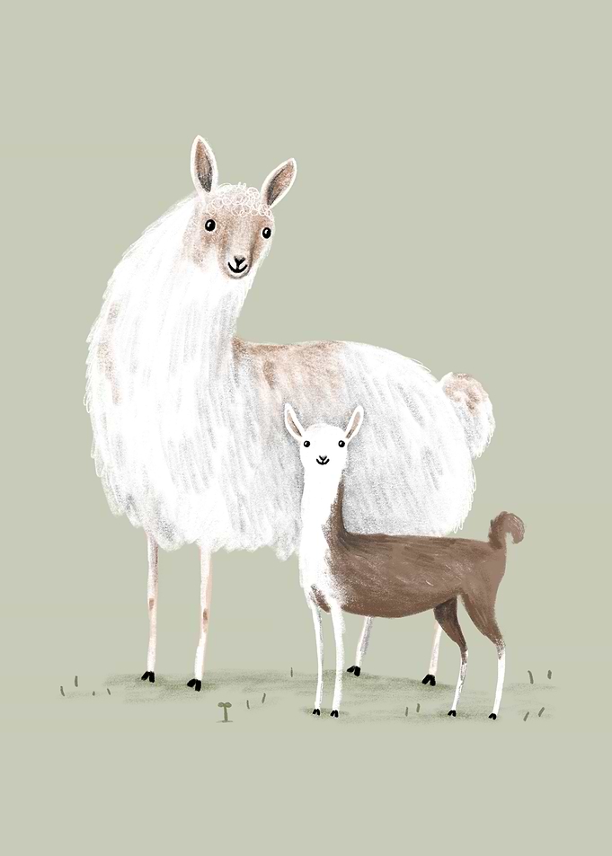 Llama Mama