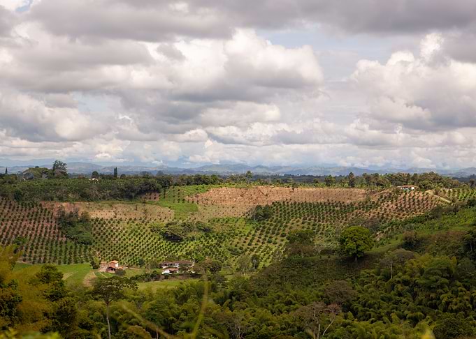 Colombia farms
