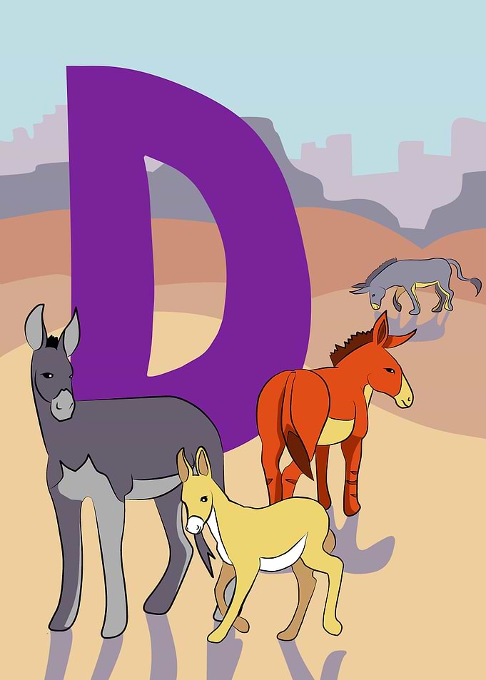 D is for Donkey