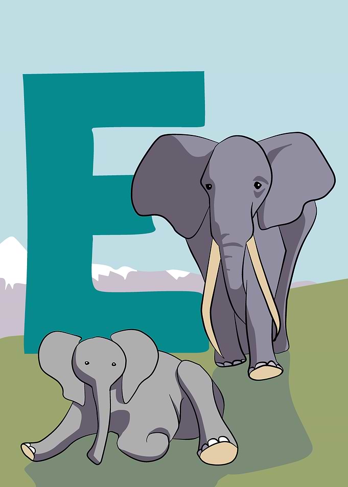 E is for Elephant