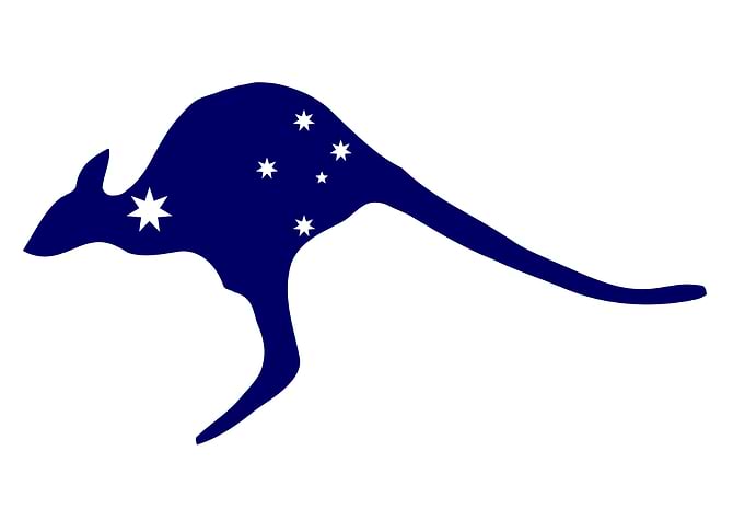 Kangaroo With Flag Stars