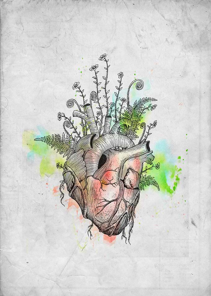 Wild Flower