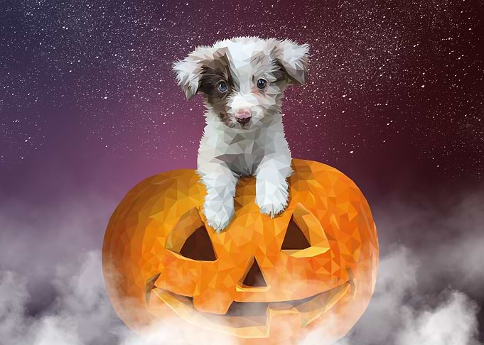 Trick or Treat