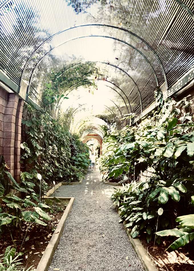 Botanical Garden