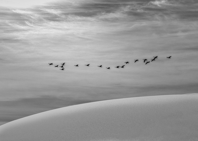 The Journey