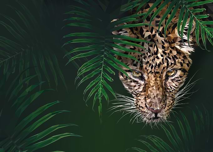 Into the Jungle