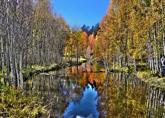 Fall colors