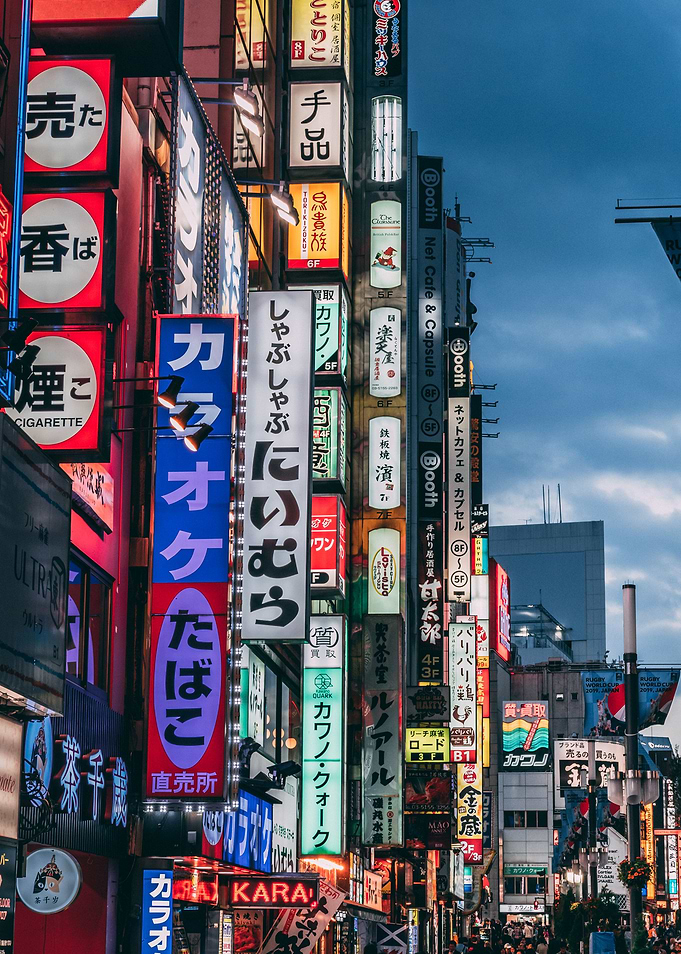 Tokyo Shinjuku Night