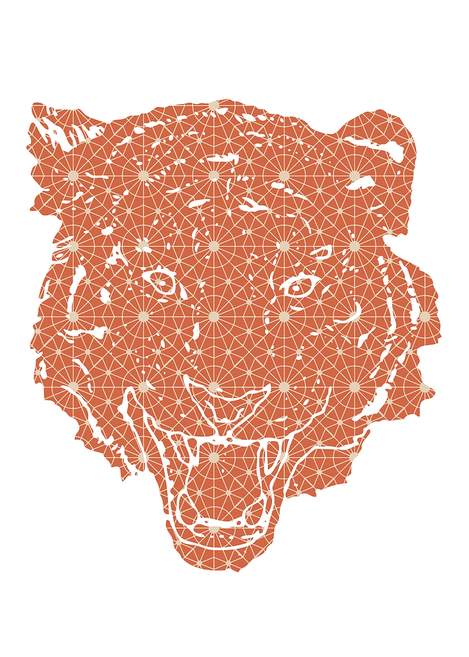 Tiger Head Pattern
