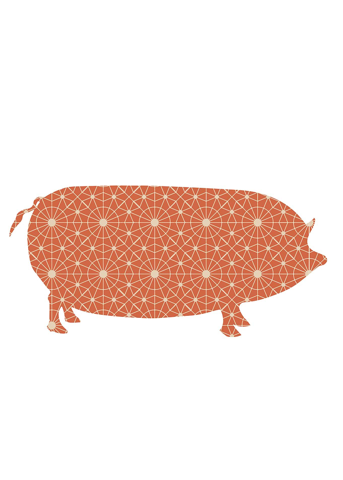 Pig Pattern