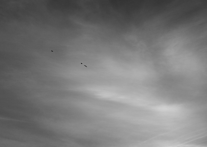 Travellers