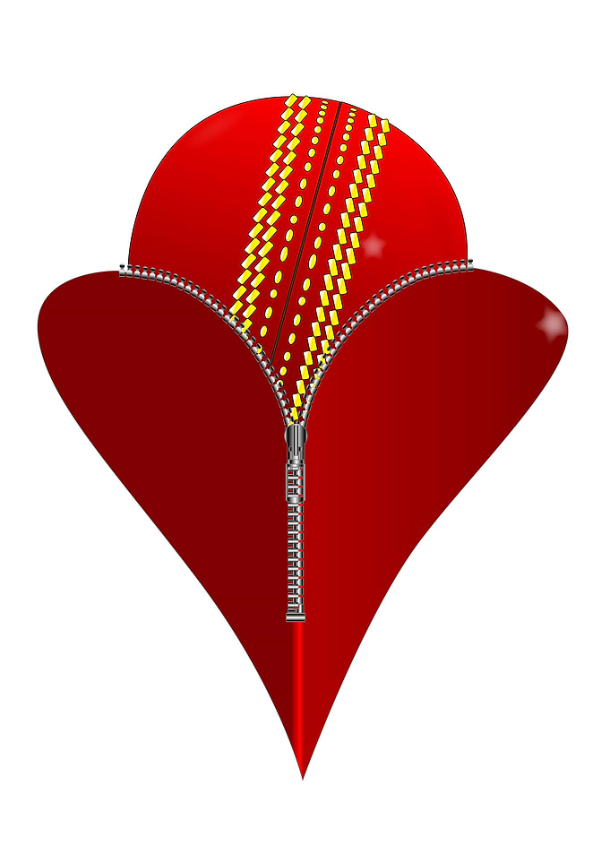 Love Cricket
