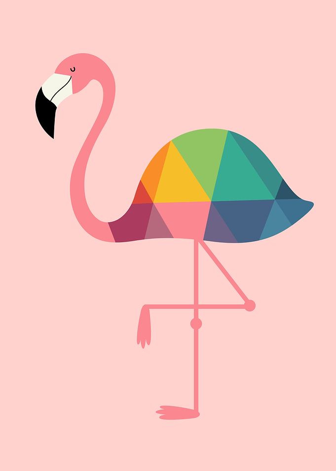 Rainbow Flamingo Time