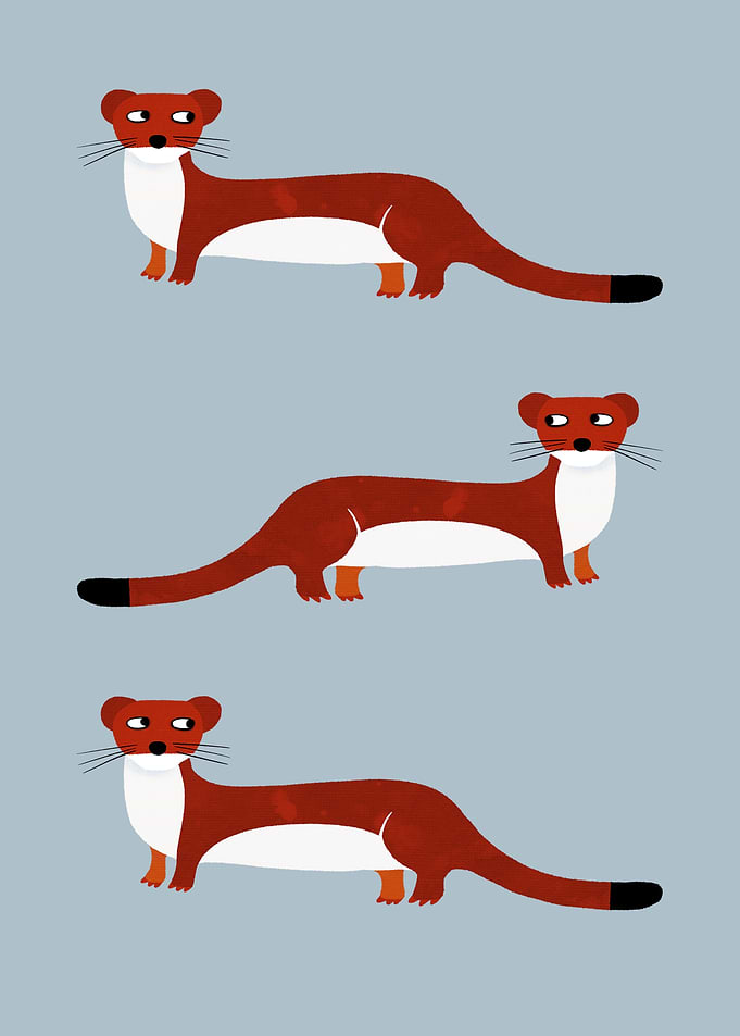 Weasels