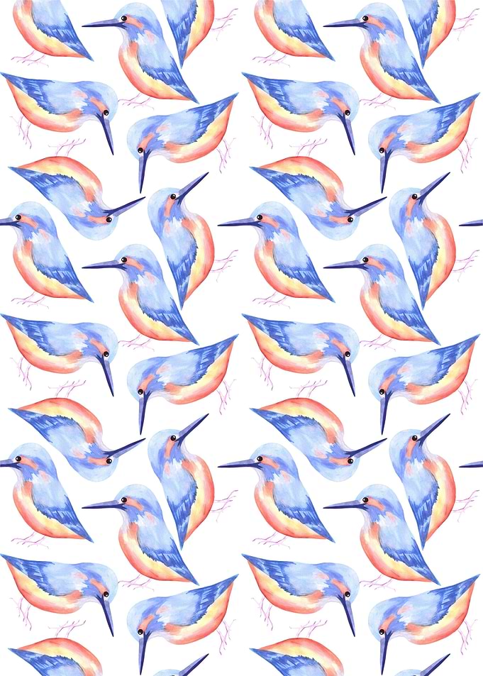 Common Kingfisher bird