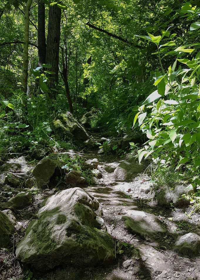 Rock Path