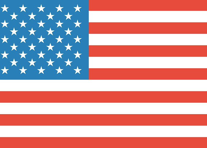 united nations flag art