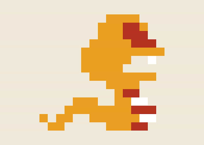 Zelda Orange Rope Snake
