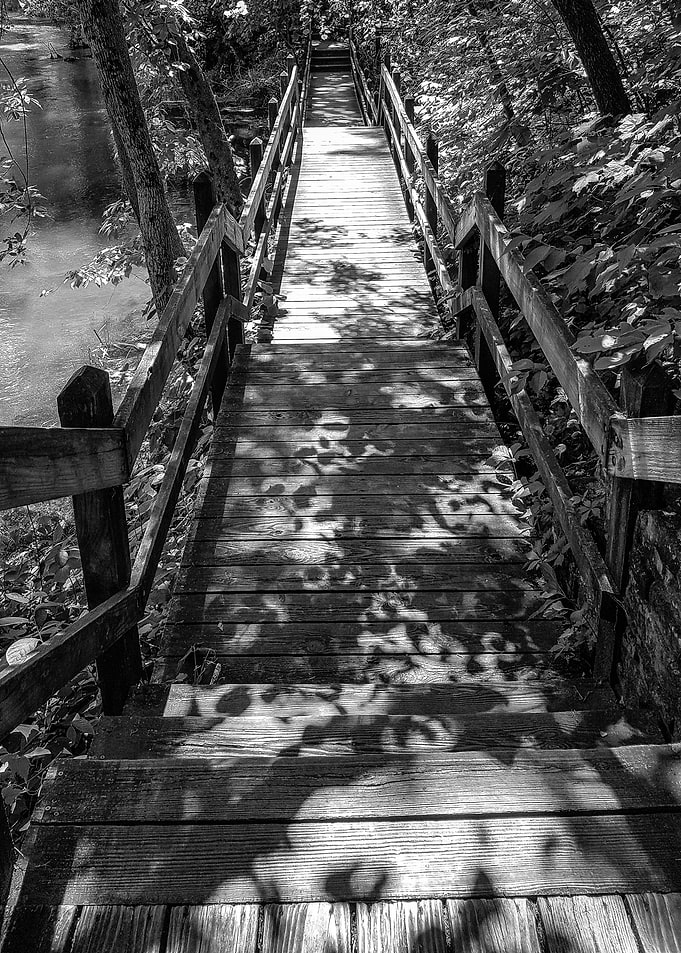 The Bridge
