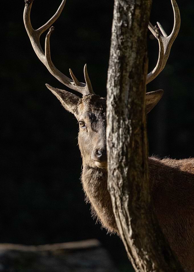 He saw me