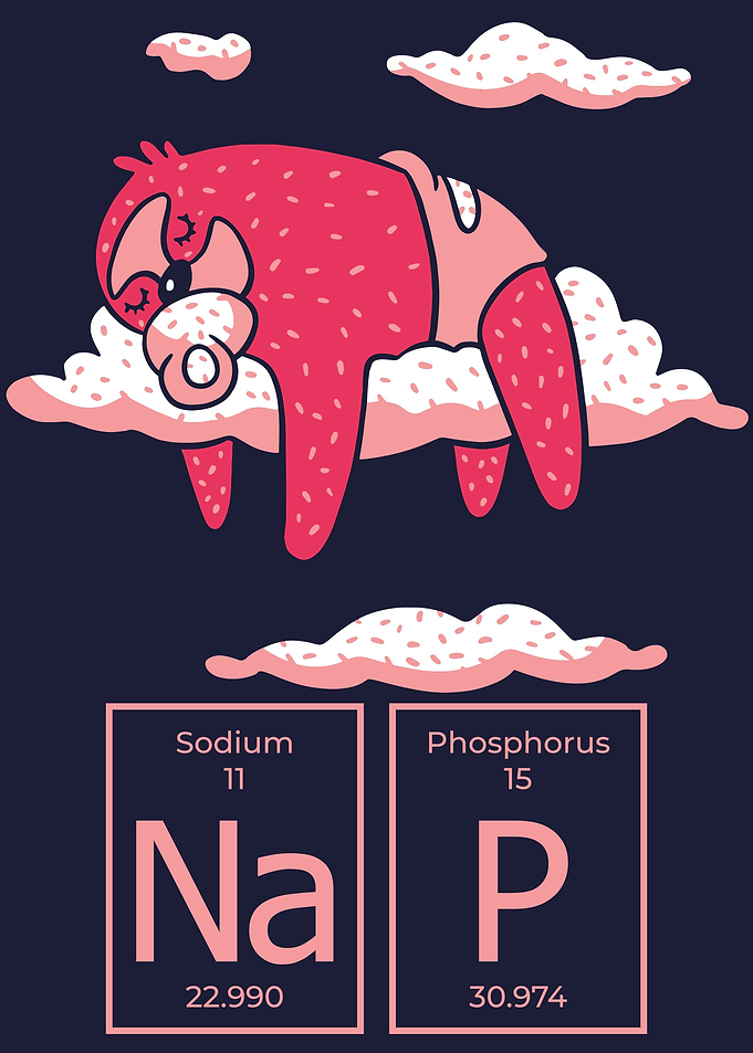 SLOTH NAP FUNNY