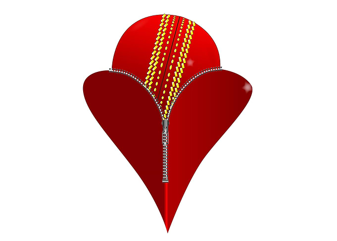 Love Cricket