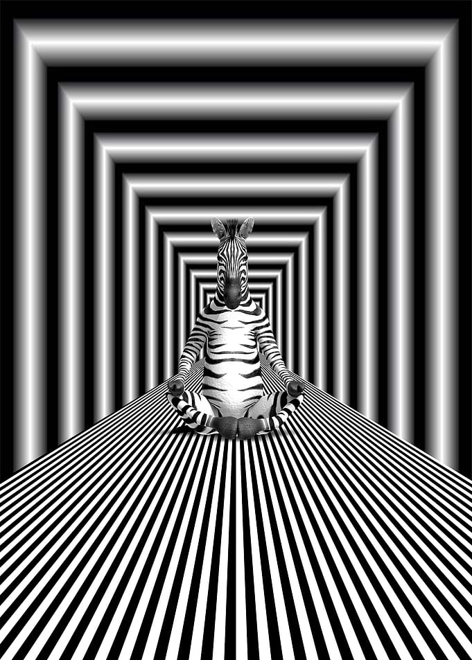 Meditation