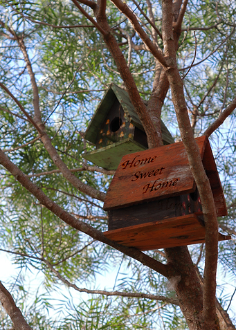 Bird apartment