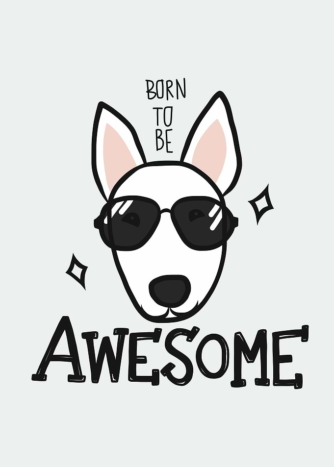 Bull Terrier be awesome