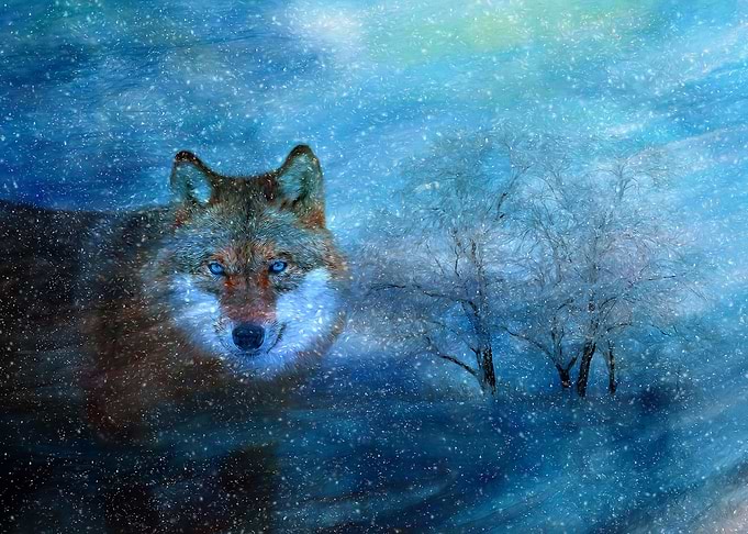 The Blue Wolf