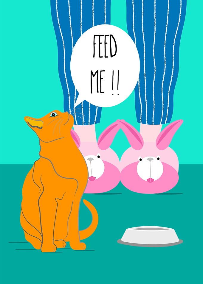 Feed Me
