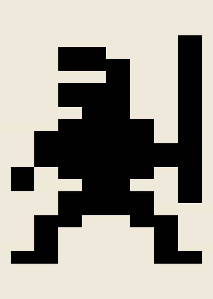 Bruce Lee Ninja