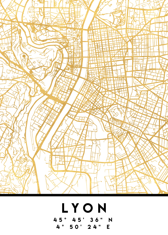 Lyon Map France