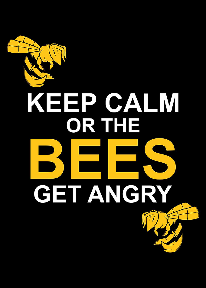 BEES GET ANGRY FUNNY