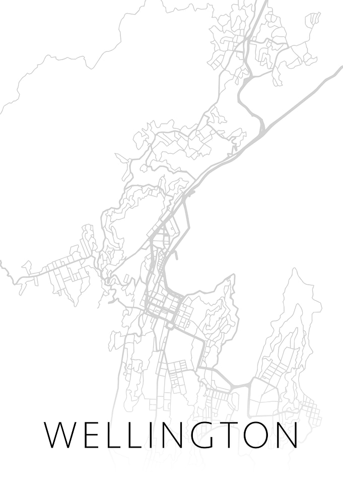 Wellington New Zealand Map