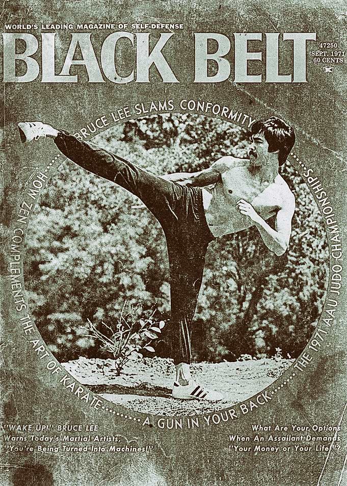 Vintage movie poster Lee