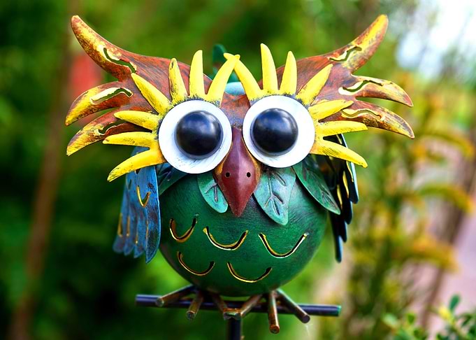 Cute Owl