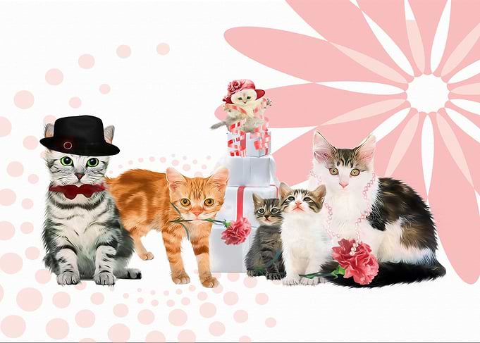 Sunday Litter of Cats