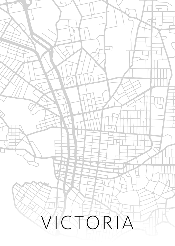 Victoria City Map BW Art