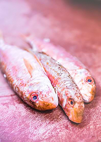 Red Mullet