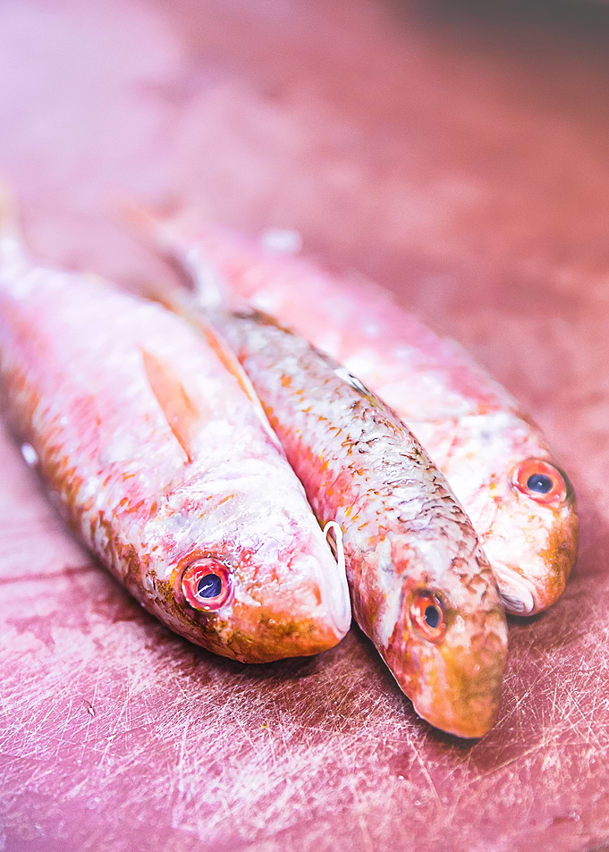 Red Mullet