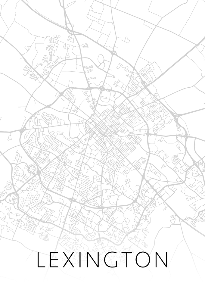 Lexington City Map BW