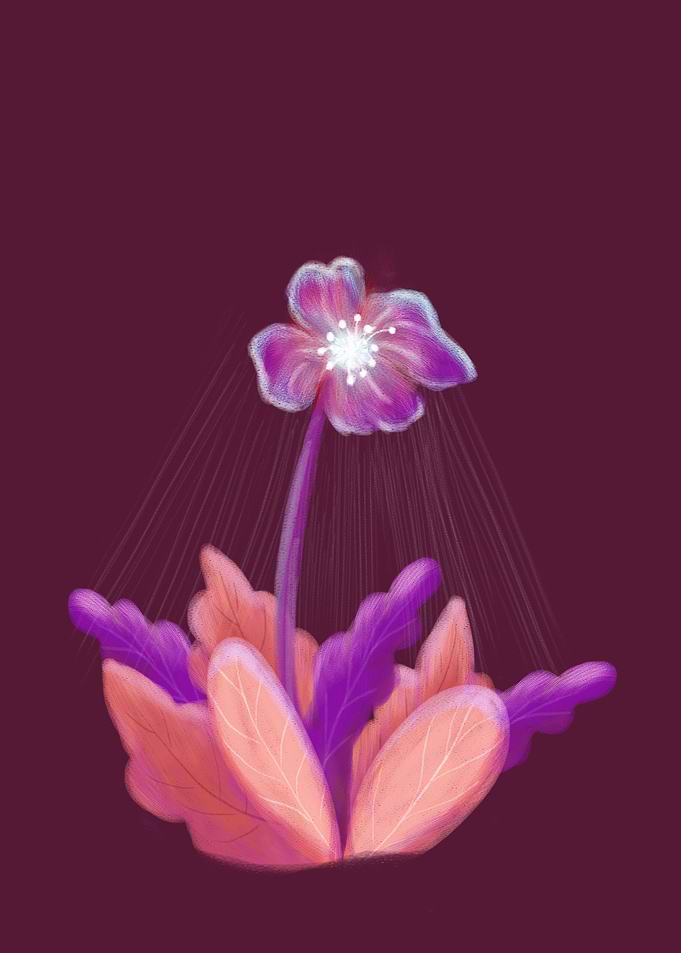 Shine Flower