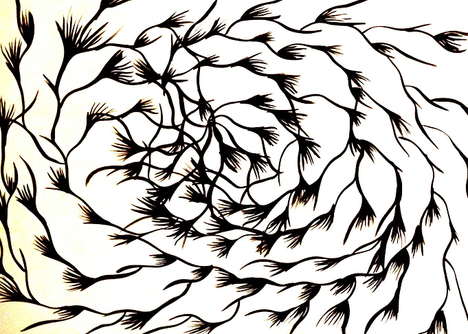 Rosebud