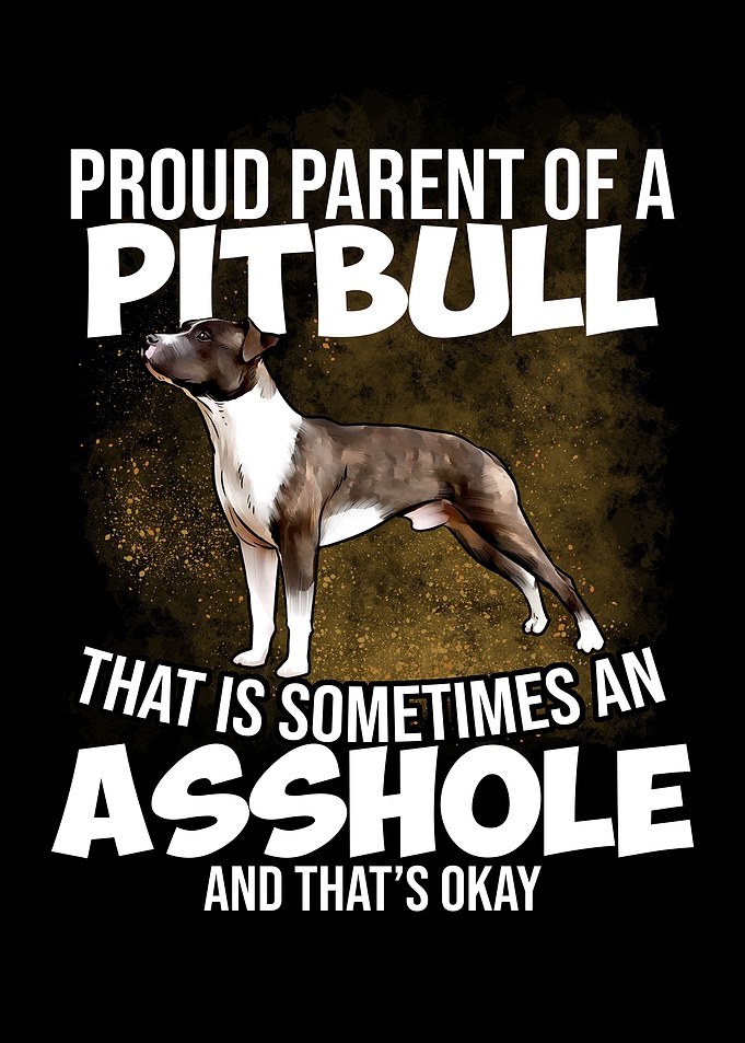 American Pitbull Terrier