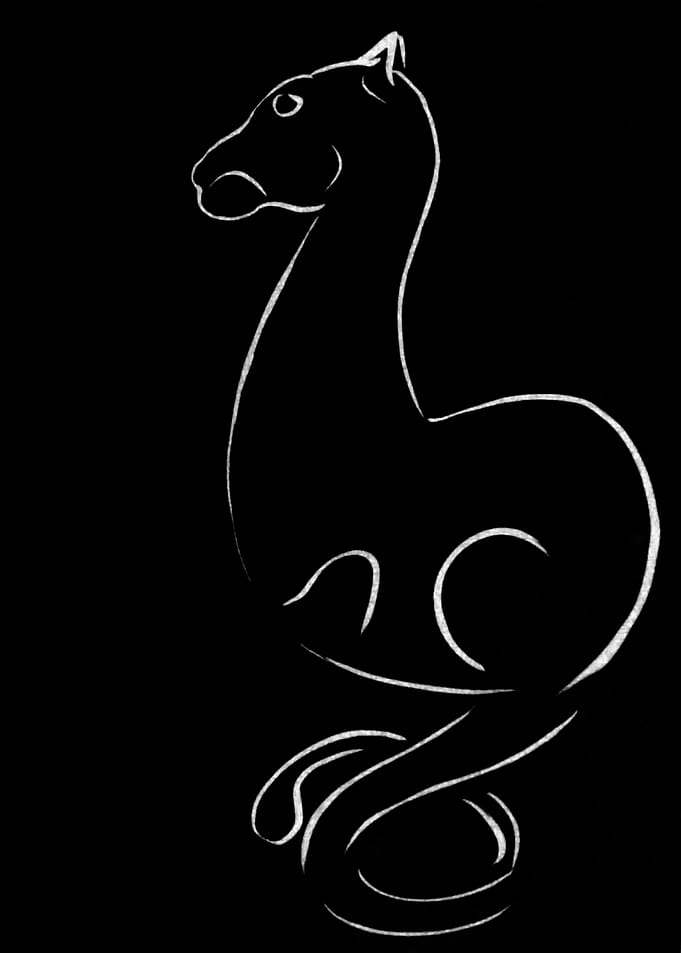 Black cat